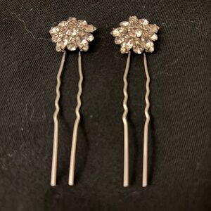 Elegant Silver Hair Pins